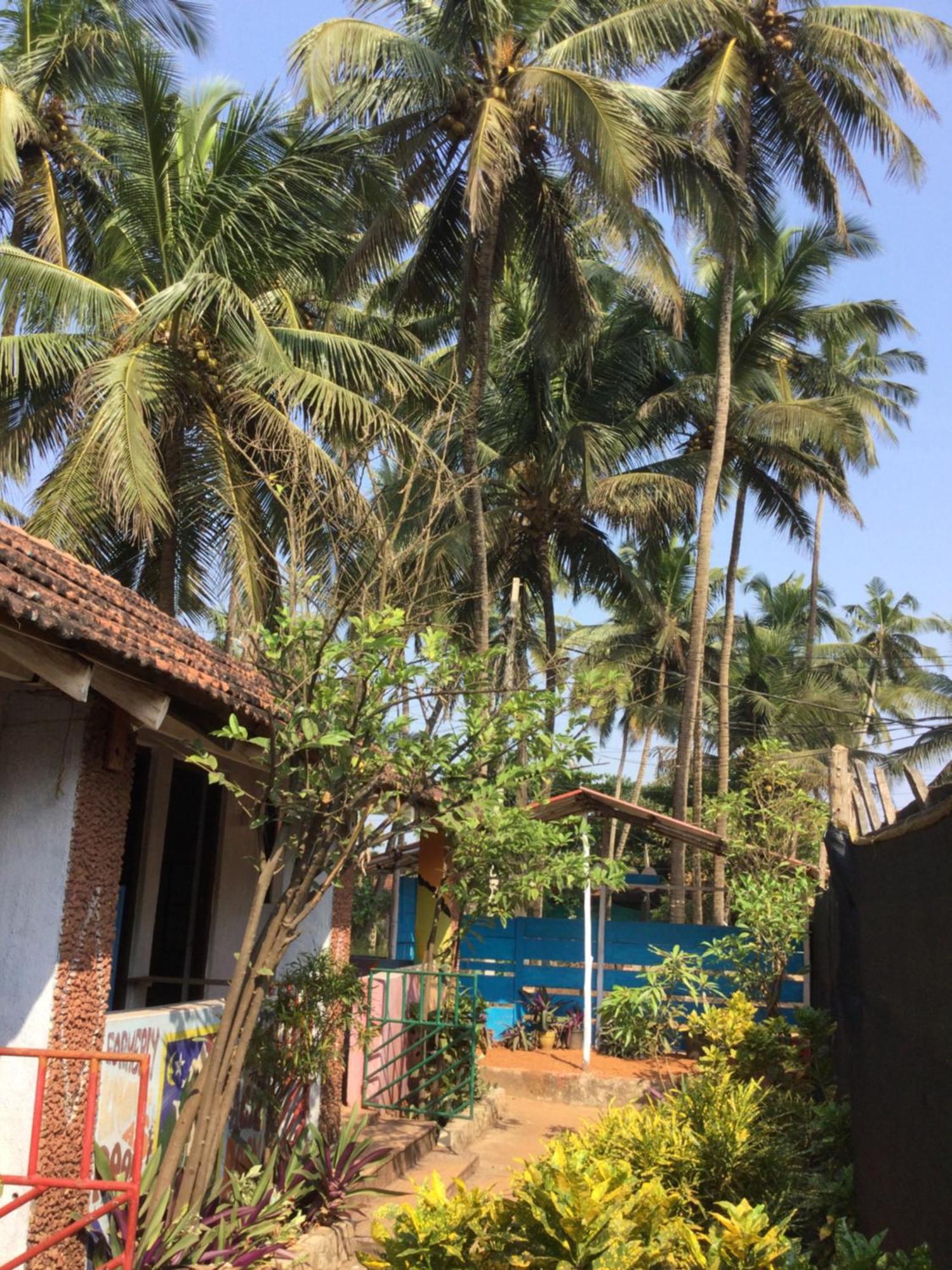 Hippie Hostel Or Goamazing Hostel Anjuna Exterior photo